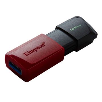Kingston Memory Pen